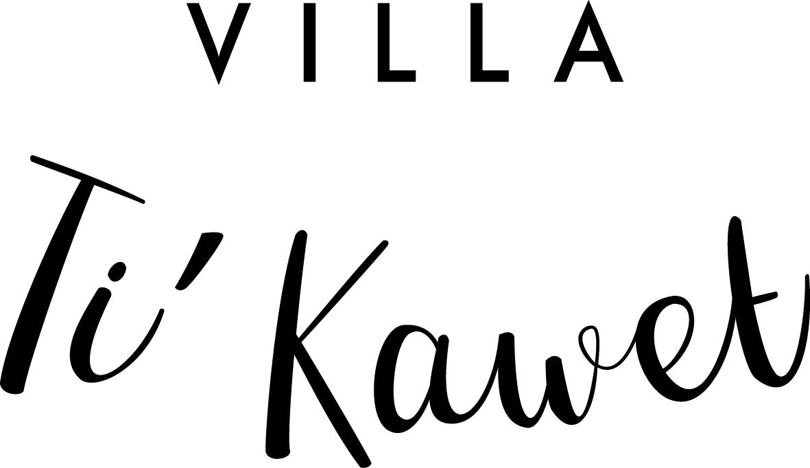 logo du site